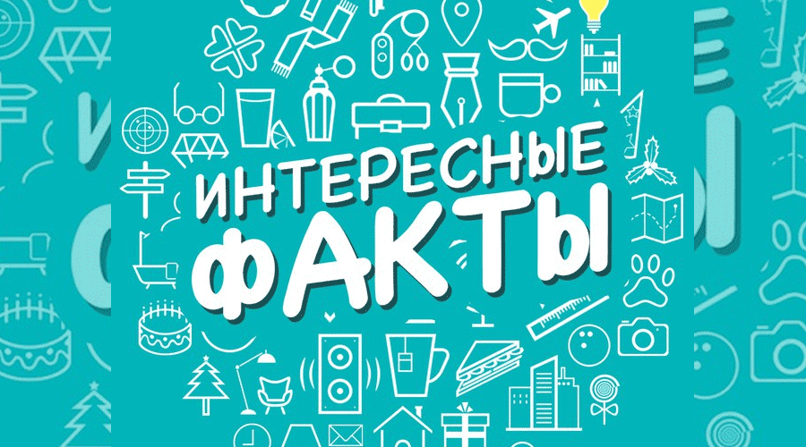 Познавательные факты о Тарусе