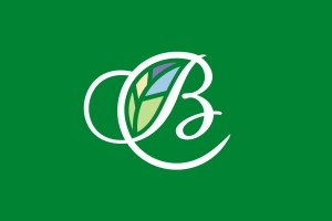 Серебряный век